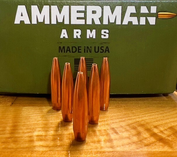 Bullet 22 Caliber 80 Gr HPBT