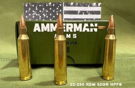 Rifle Ammunition 22-250 REM 52 Gr HPFB Match