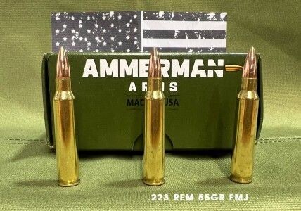 Range & Training Rifle Ammunition .223 REM 55 GR FMJBT