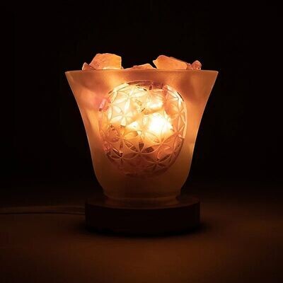 Lampada Fiore della Vita con pezzi di Sale dell'Himalaya con cavo e spina e lampadina a LED