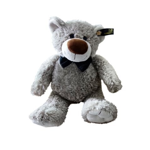 Teddy mit Fliege