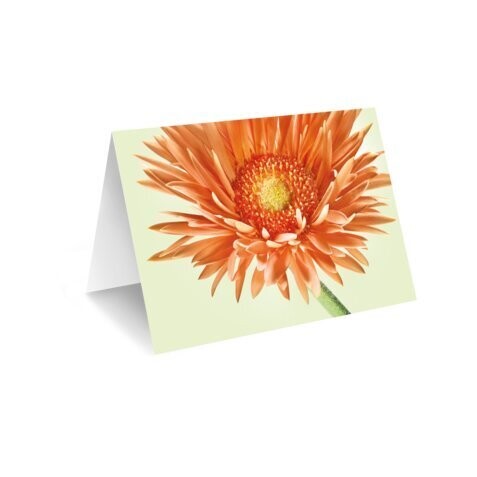 Grußkarte Orange-Grün Neutral
