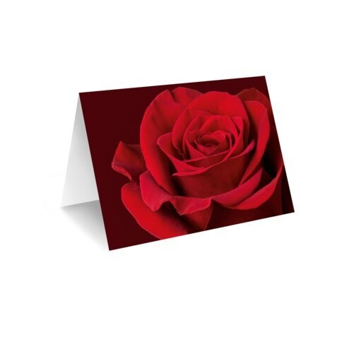 Grußkarte Rot "Rose" Neutral