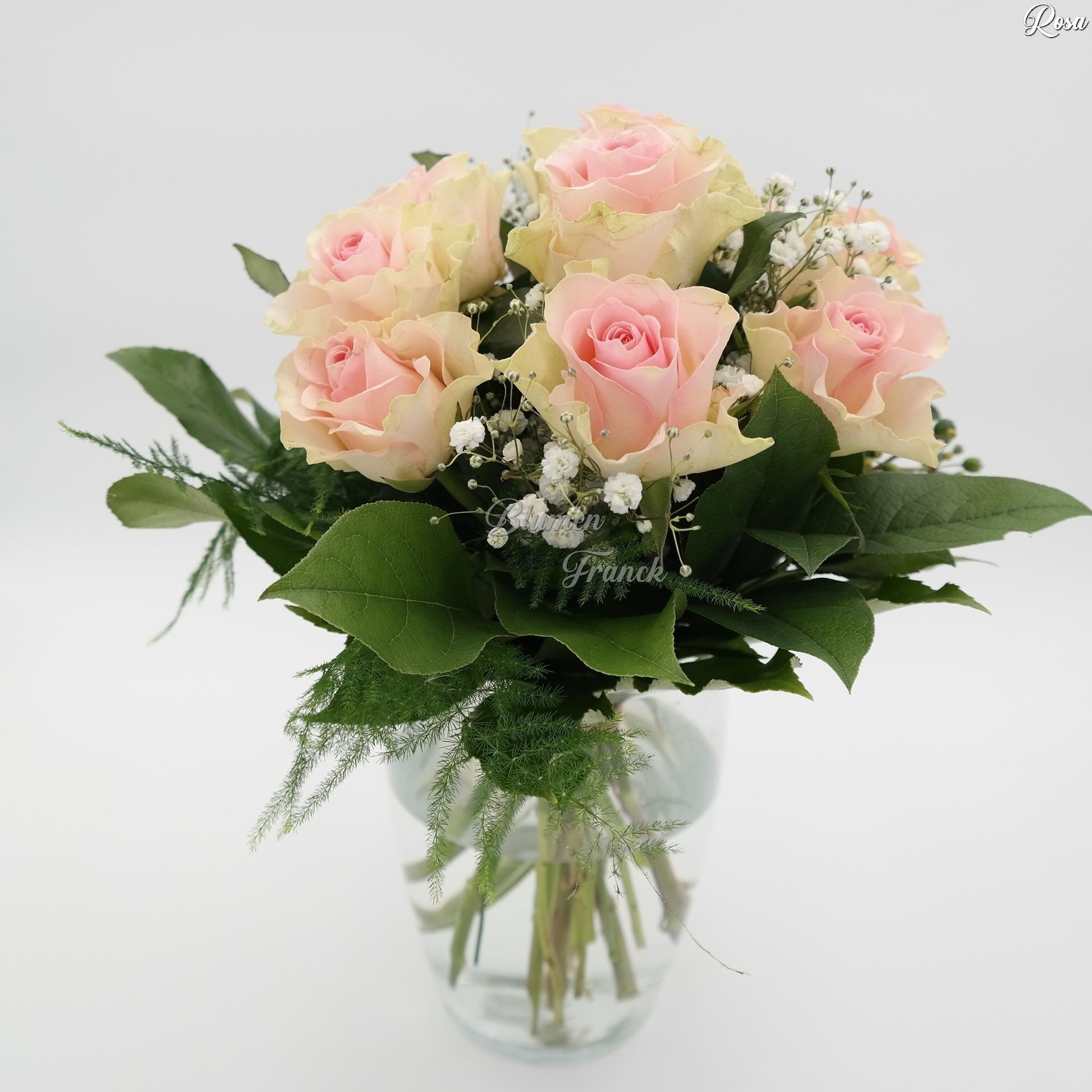 Rosenliebe in verschiedenen Farben