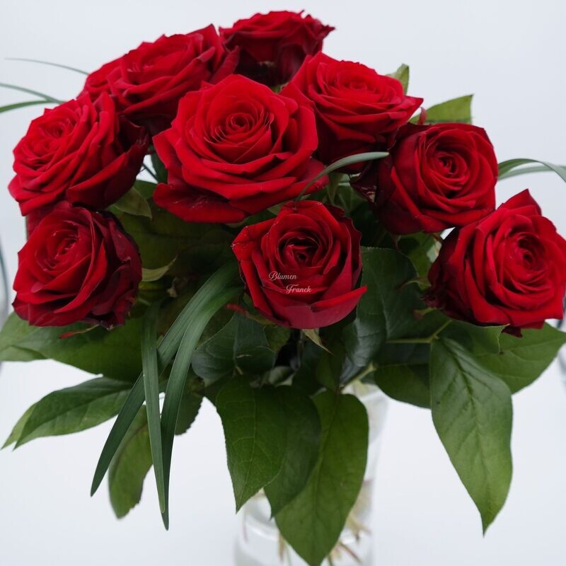 Rosen Kavalier