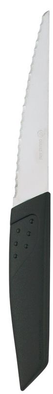 Confezione 12 pezzi COLT.BISTECCA    11 CM EVOLUTION INOX