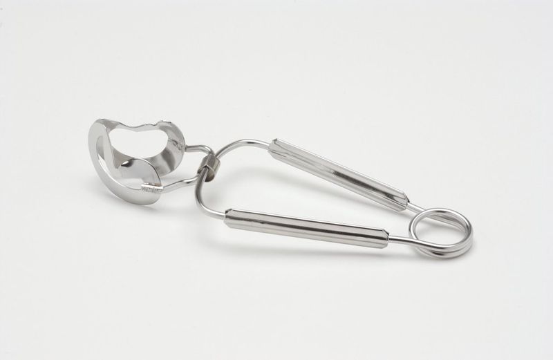 Confezione 1 pezzo PINZA LUMACHE 16CM INOX