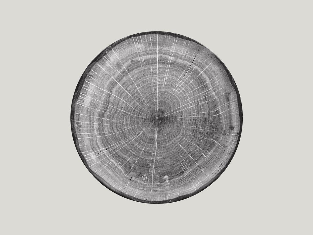 Confezione 12 pezzi PIATTO  COUPE 29CM BEECH WOODART