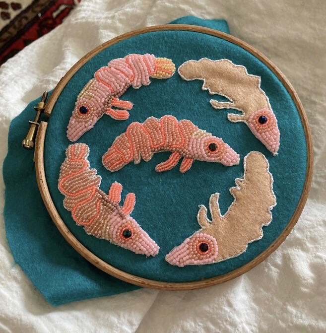 Prawn kit