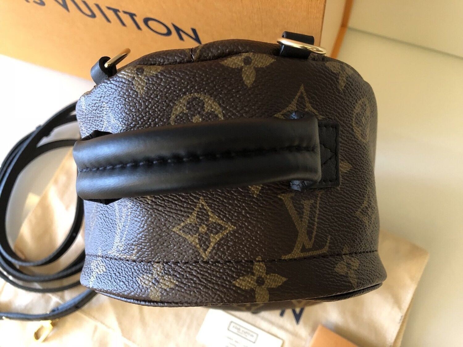 Brand New LOUIS VUITTON Palm Springs Mini Backpack