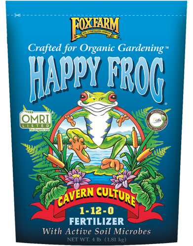 Happy Frog Cavern Culture 1-12-0