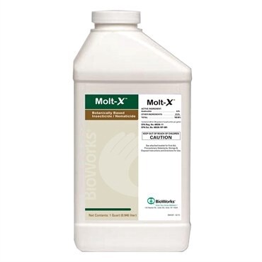 Molt X insect Growth Regulator