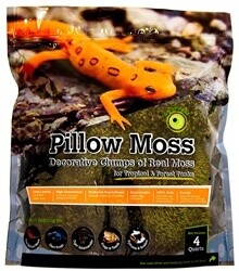 Galapagos Pillow Moss