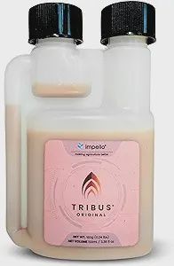 Tribus Original