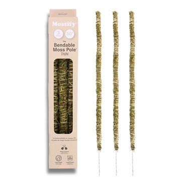 Mossify Moss Pole (3 pack 30&quot; THIN)