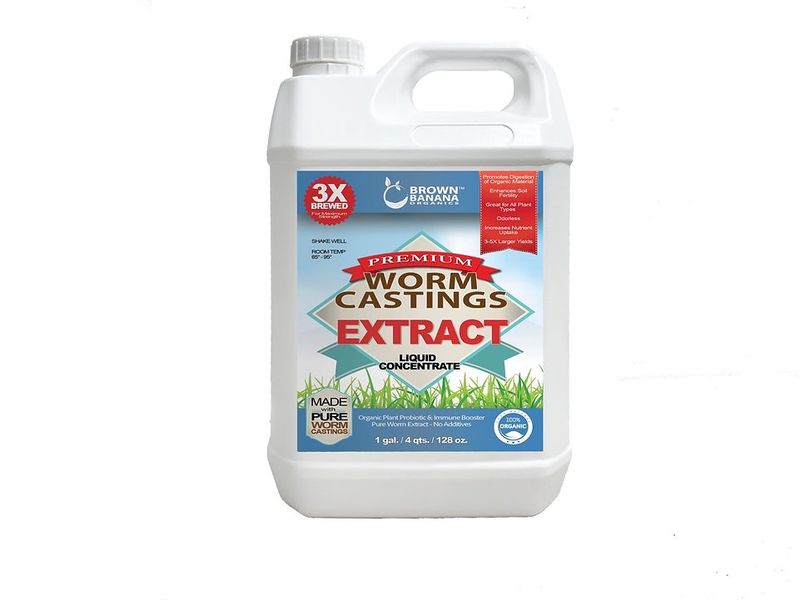 Brown Banana Worm Extract Tea