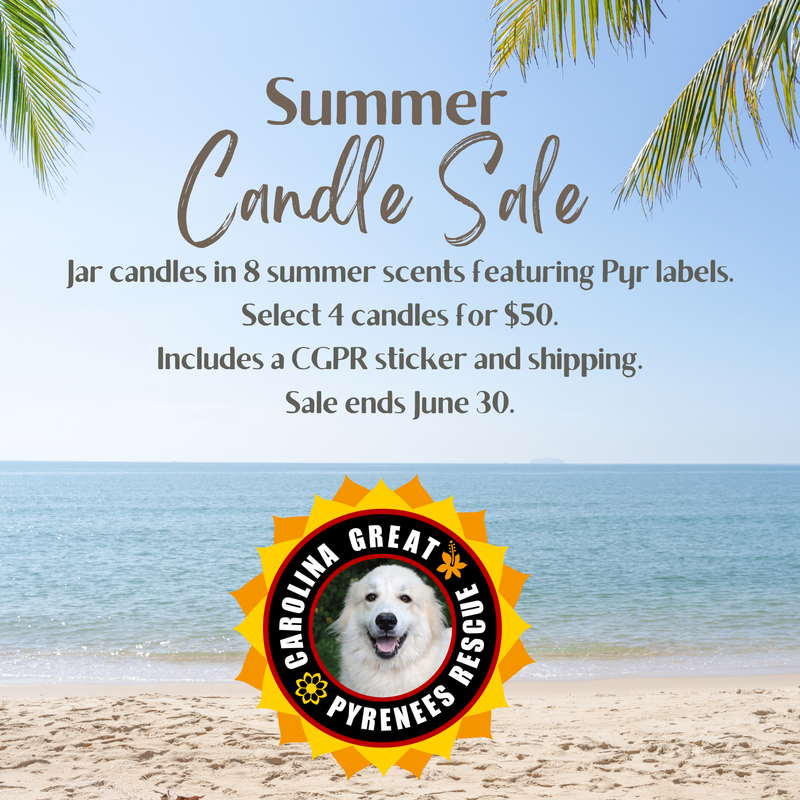 CGPR Soyworks Pick Any Four Candle Set Summer 2025