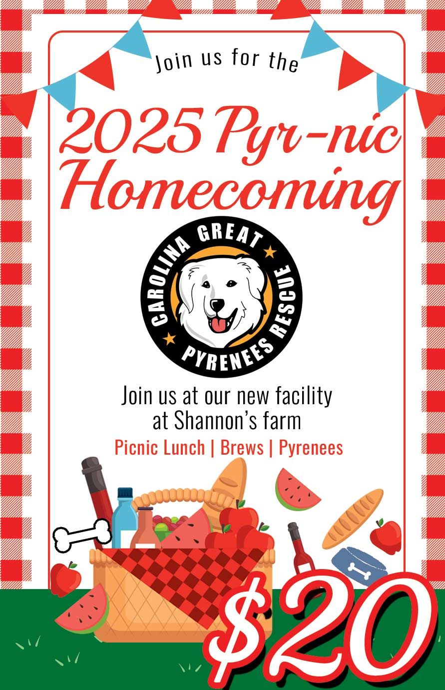 Pyrnic Adult Lunch