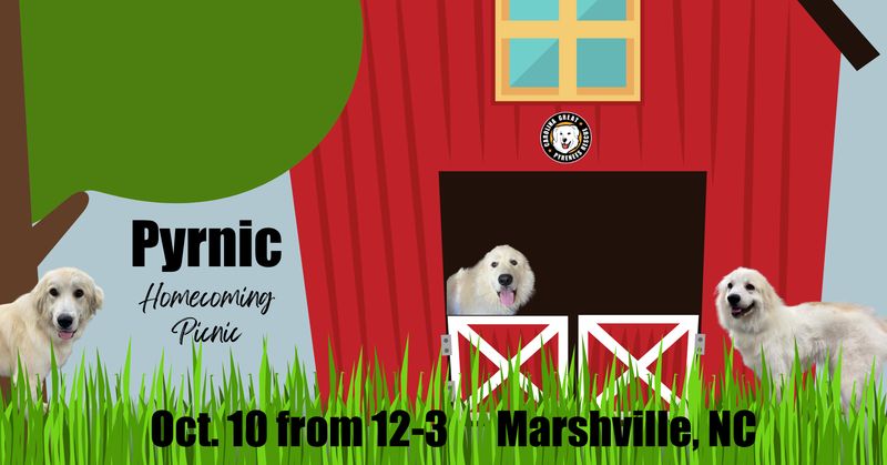Pyrnic Adult Lunch 2026
