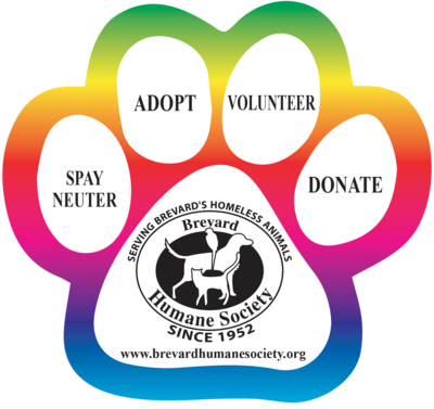 Paw Print Window Cling