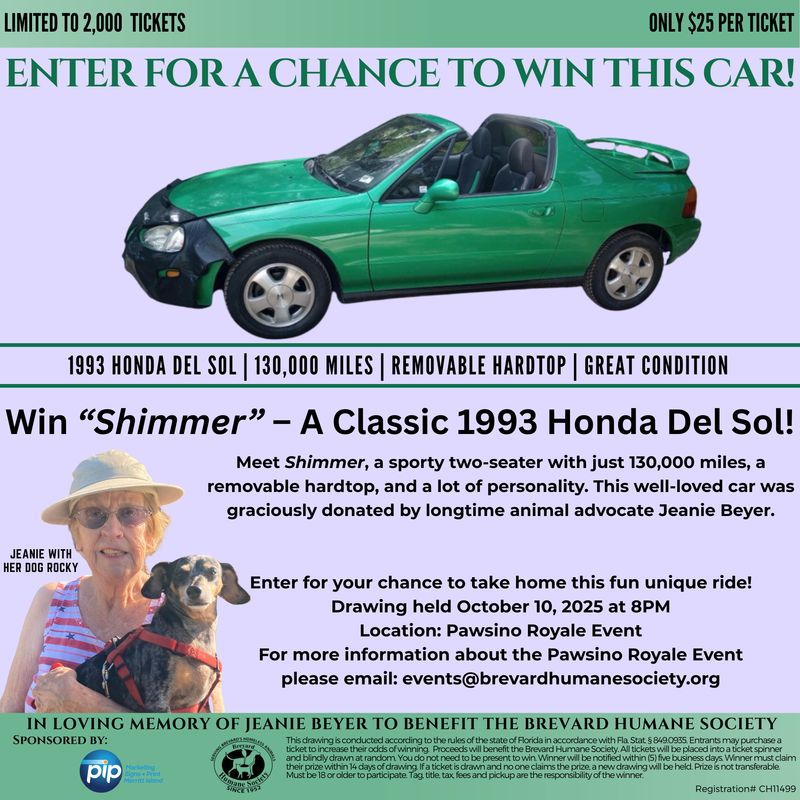PRE SALE - "Shimmer" Car Drawing - 1993 Honda Del Sol