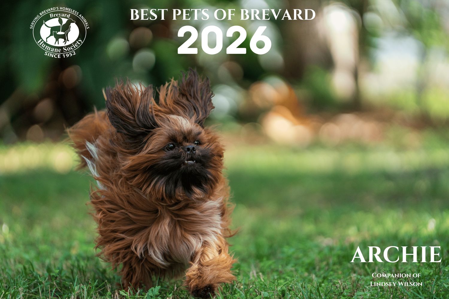 2026 Best Pets Of Brevard Calendar