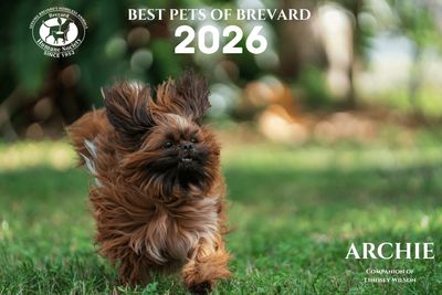 2026 Best Pets Of Brevard Calendar