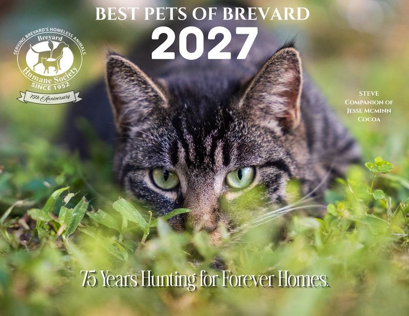 Best Pets of Brevard - 2027 Calendar