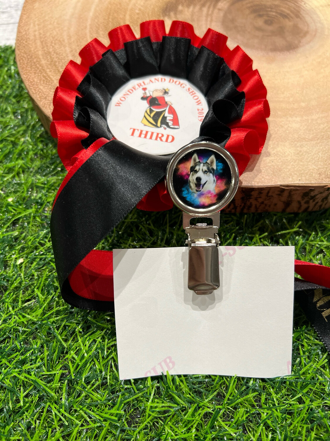 Dog Show Clip