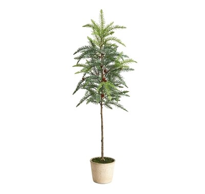 3.5' Winniepeg Artificial Pine Tree In Decorative Planter