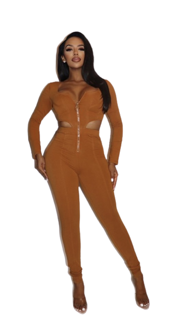 Cinnamon Colored Jumpsuit