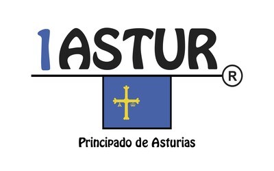 1 Astur Principado de Asturias