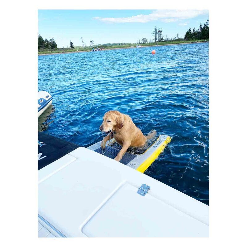 Solstice - Pup Plank Mini