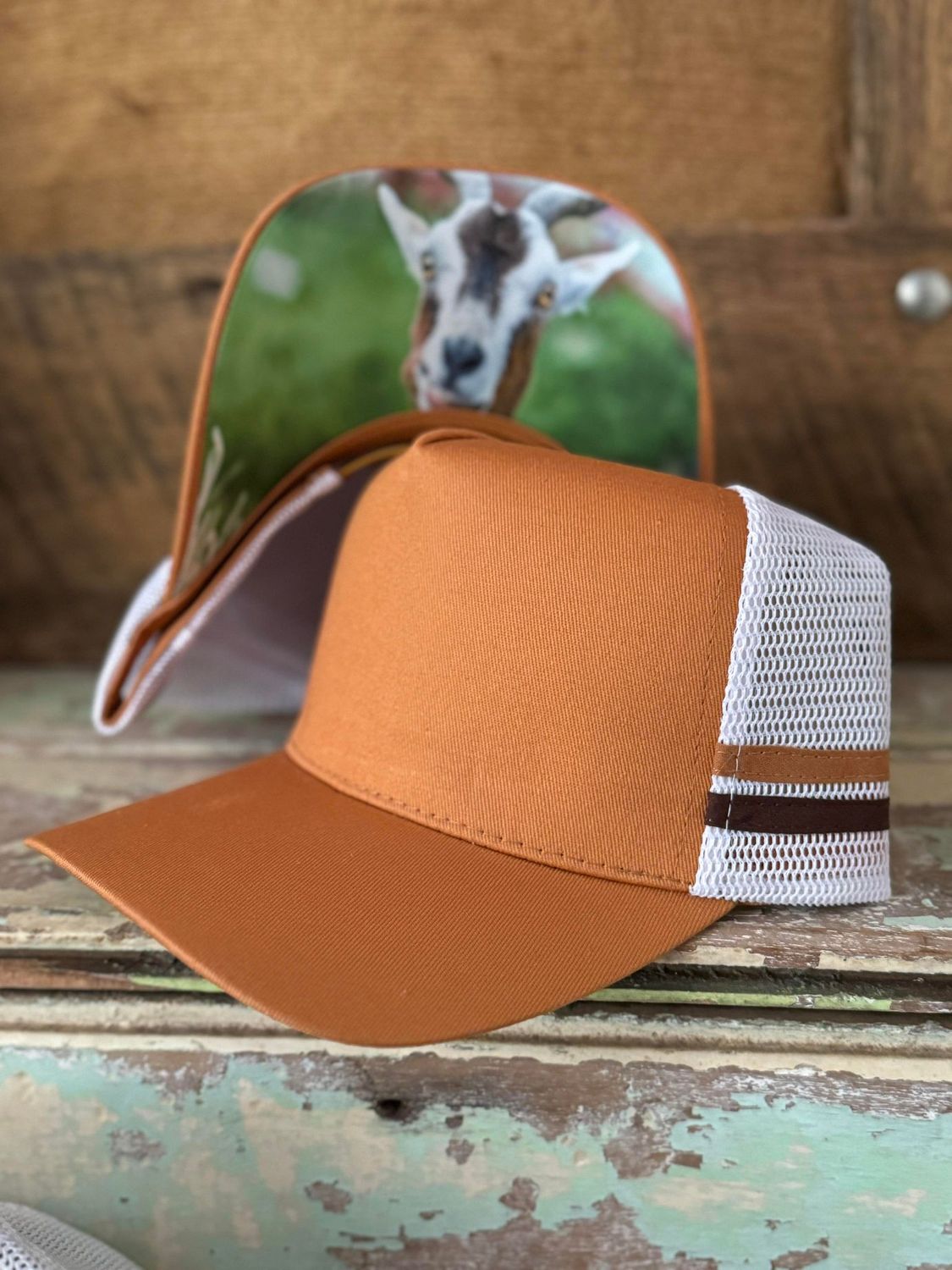 Blank Caps Limited Edition, Colour: Tan white GOAT high profile