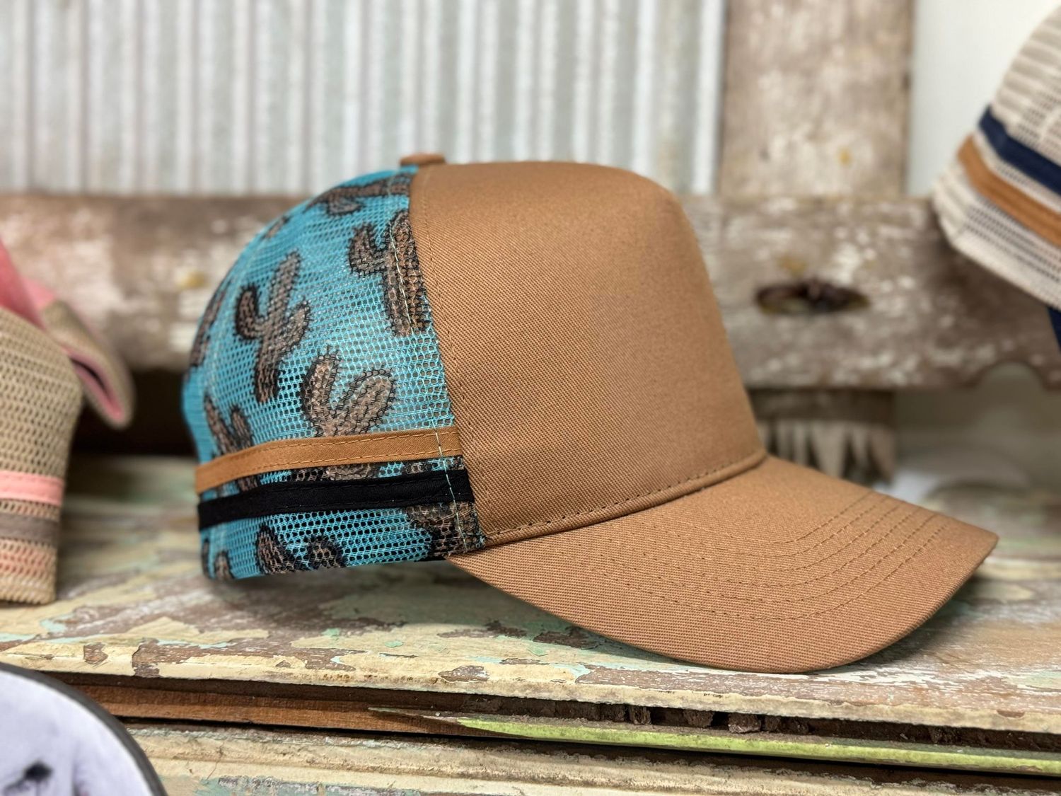 Blank Caps Limited Edition, Colour: brown cactus