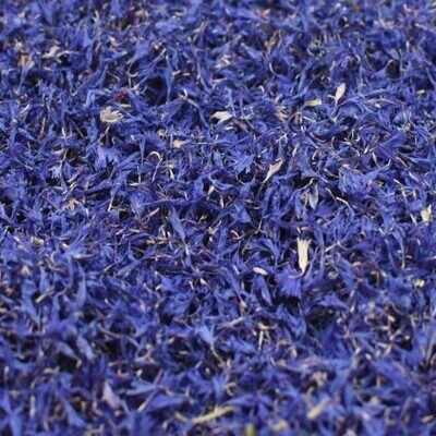 Cornflower