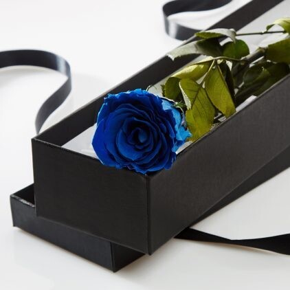 Preserved Blue Rose Stem