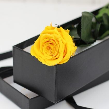 Preserved Yellow Rose Stem