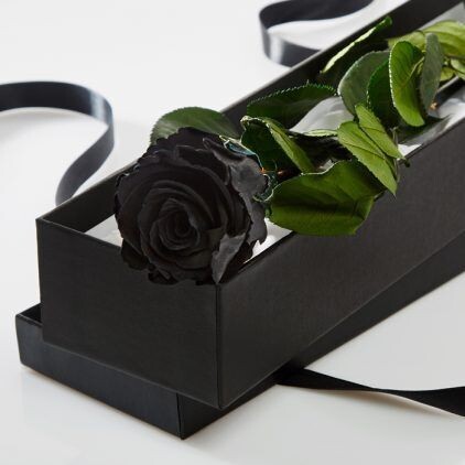 Preserved Black Rose Stem