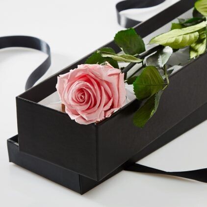 Preserved Pink Rose Stem