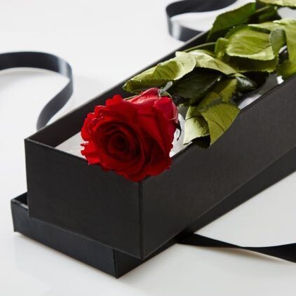 Preserved Red Rose Stem