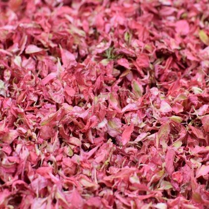 Dark Pink Delphinium Petals