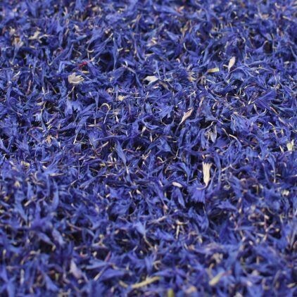 Blue Cornflower Petals