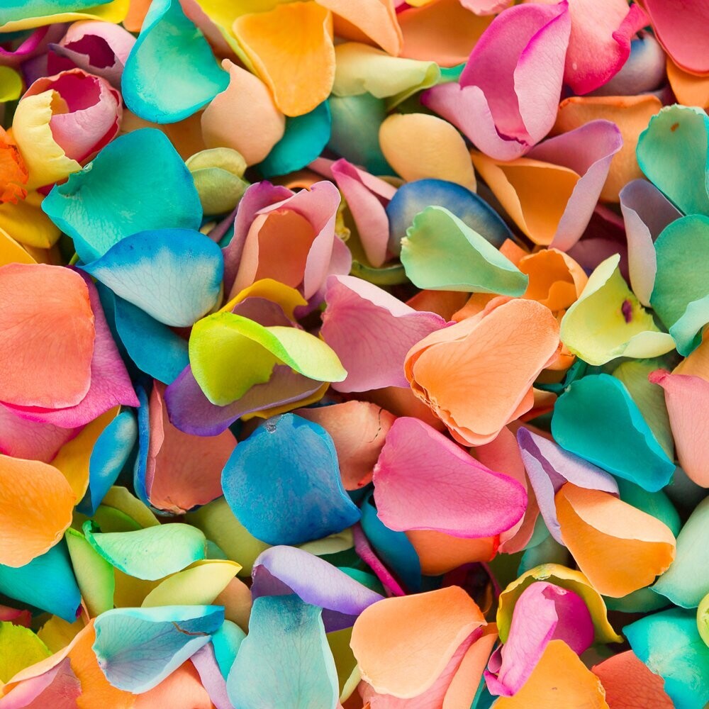 Rainbow Mix (Dyed) Rose Petals