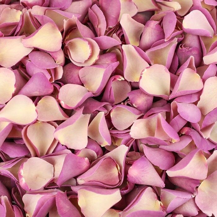 Dusky Pink Petals
