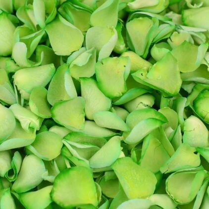 Green (dyed) Rose Petals