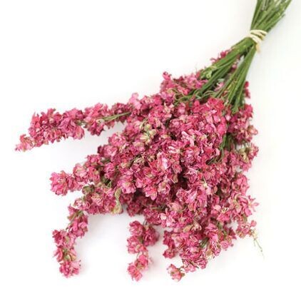 Dark Pink Delphinium Bunch