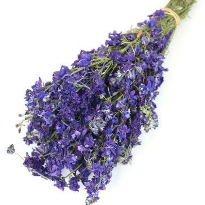 Dark Purple Delphinium Bunch