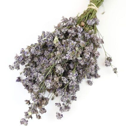 Grey Delphinium Bunch