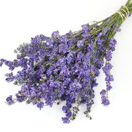 Purple Delphinium Bunch